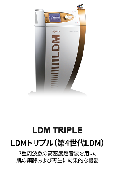 LDM트리플