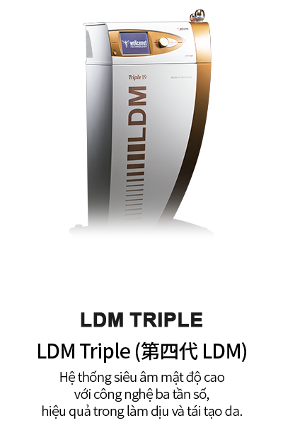 LDM트리플