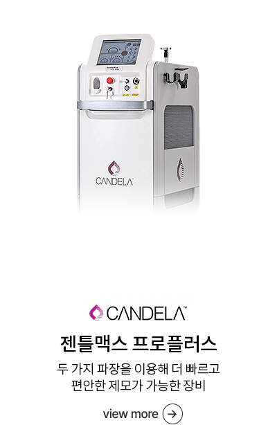 젠틀맥스 프로플러스