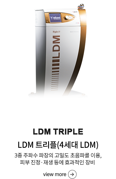 LDM트리플