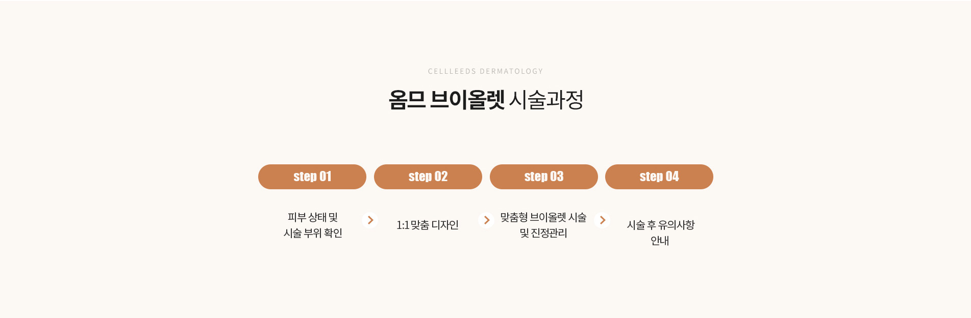 옴므브이올렛 과정