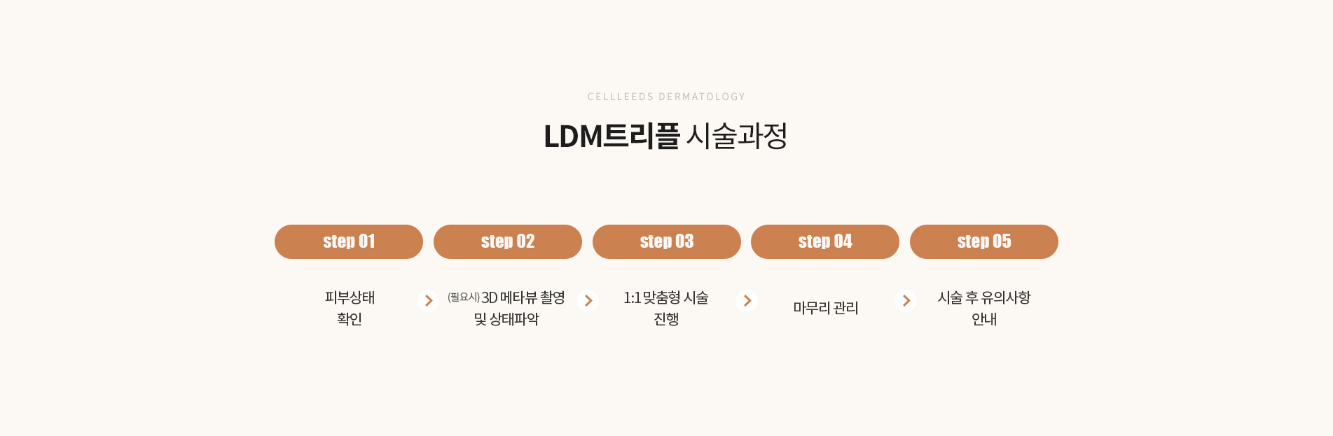 LDM트리플 시술과정