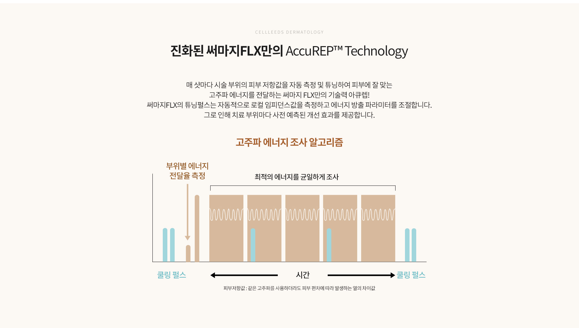 써마지 FLX 기술