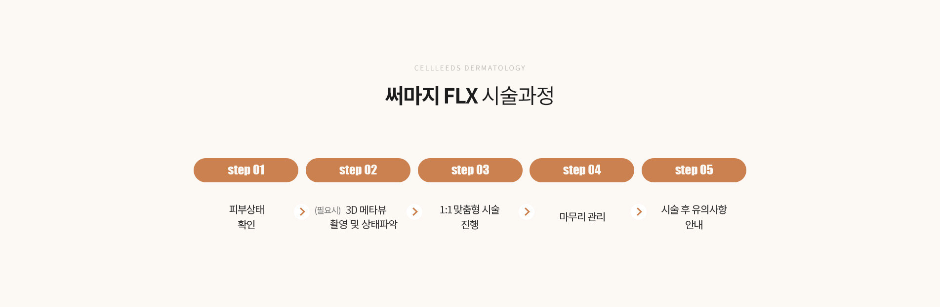 써마지 FLX 시술과정