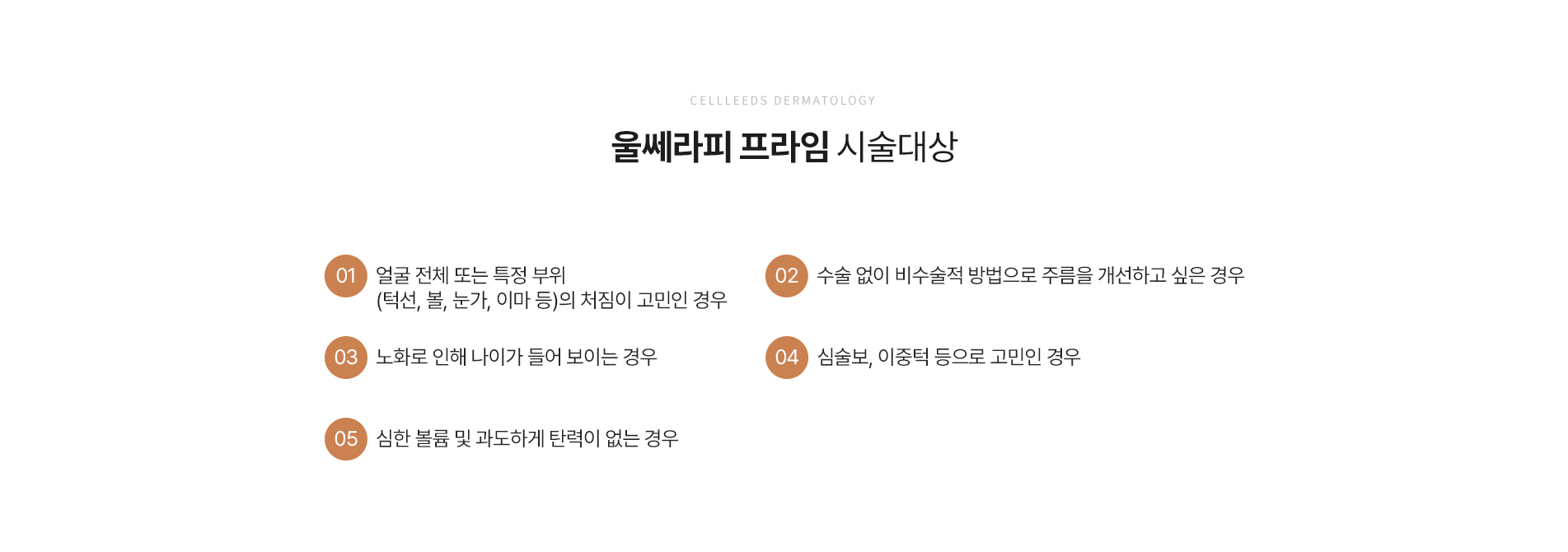 울쎄라피 프라임 시술대상