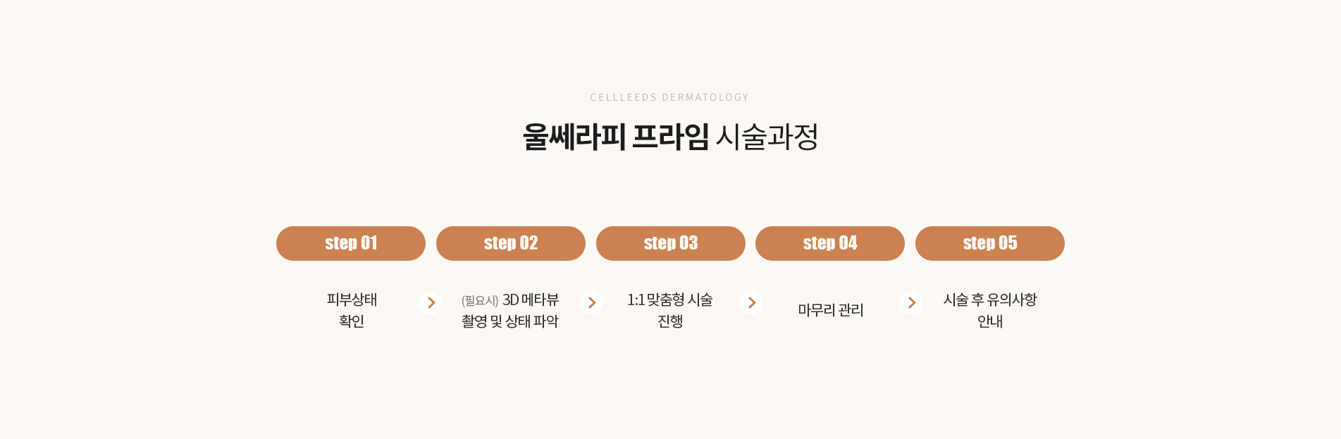 울쎄라피 프라임 시술과정