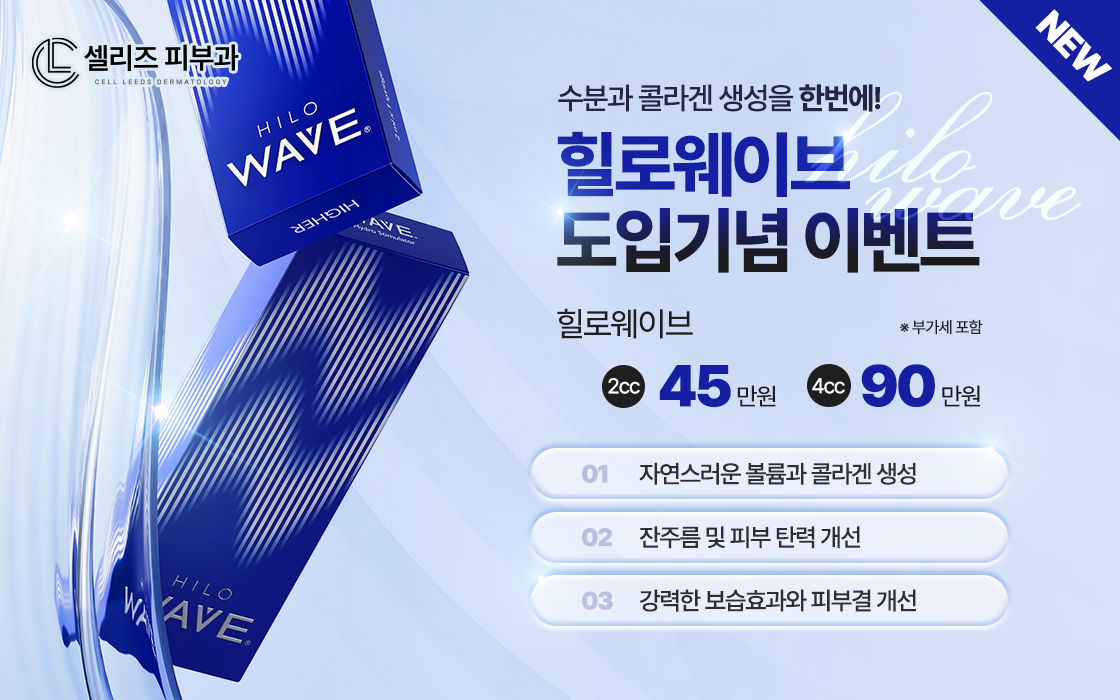 힐로웨이브도입